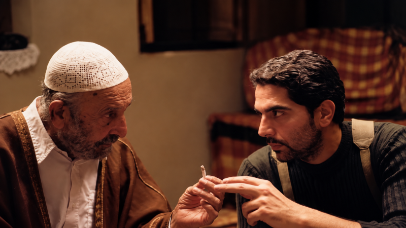 پرونده:نمایی از چای تلخ.png